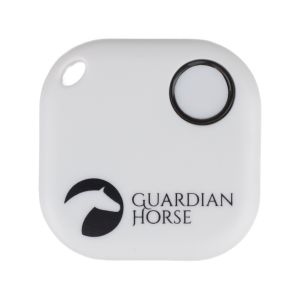 Guardian Horse Unfall Tracker