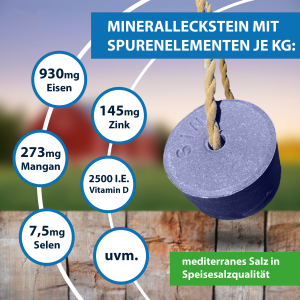 mineralleckstein-anti-insect.png