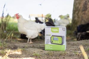 smartcoop-steuerung-von-kerbl-2.jpg