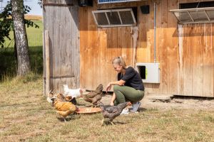 smartcoop-huehnertuer-von-kerbl-6.jpg