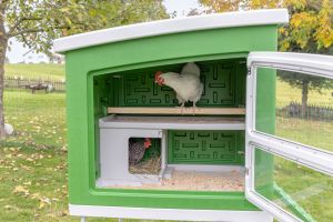 mobile-coop-kunststoff-von-kerbl-1.jpg