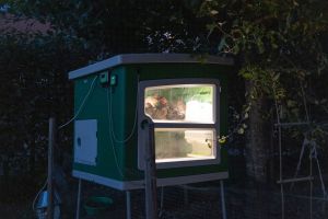 mobile-coop-kunststoff-von-kerbl-10.jpg