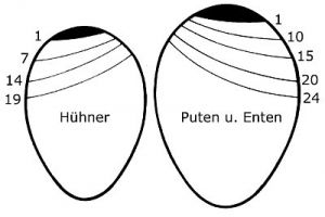 luftkammermesser-1.jpg