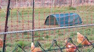 huehnertunnel-unterschlupf-140x90cm.jpg