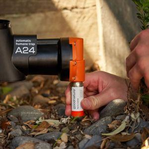 co2-gaskapsel-fuer-goodnature-rattenfalle-1.jpg