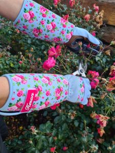 gartenhandschuh-rose-garden-1.jpg