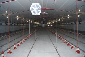 umluftventilator-t4e45-1.jpg