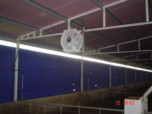 umluftventilator-t4e45-2.jpg