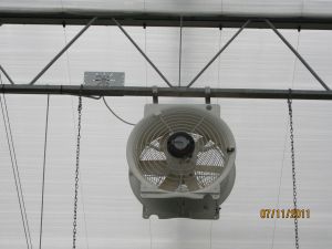 umluftventilator-t4e45-3.jpg