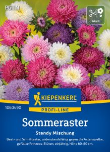 Sommeraster "Standy Mischung"