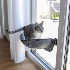 fensterliegebett-filzino-3.jpg