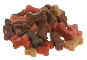 hunde-trainer-mix-1.jpg