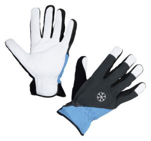 winterhandschuh-polartex.jpg