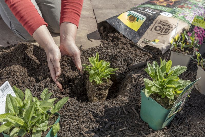 Neudorff Pflanzerde Bio torffrei