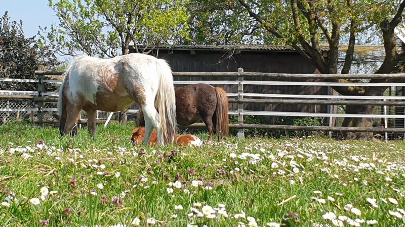 Praxisbeispiel Breitband Taurus