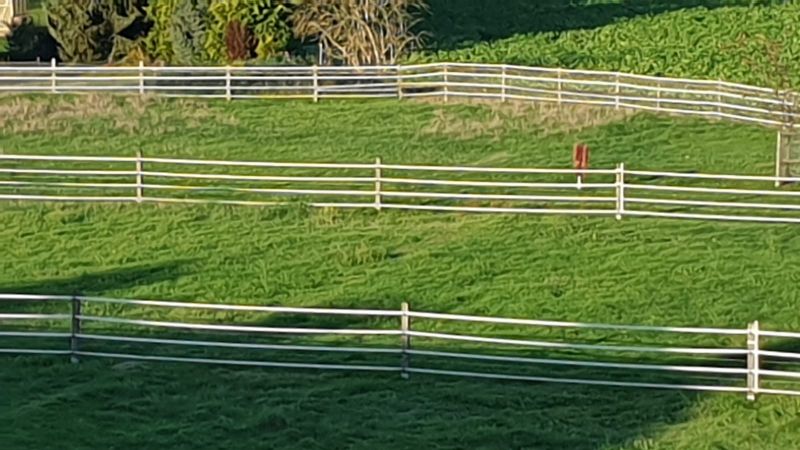 Weidezaun mit Breitbandlitze Taurus bilden eine gut erkennbare Barriere