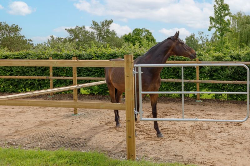 Weidetor verstellbar 1 - 1,70 m Pferd