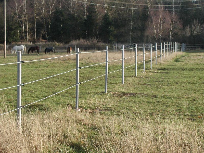Anwendung