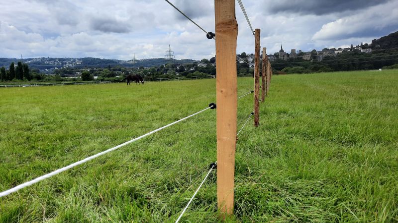 Elektroseil Ø 6 mm, 500 m Rolle