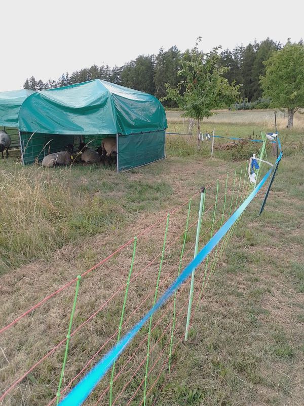 blaues Signalband umlaufend vor EuroNetz in ca. 1,10 m Höhe zur Wolfabschreckung!