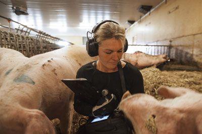 Alle 3m peltor gehörschutz mit radio aufgelistet