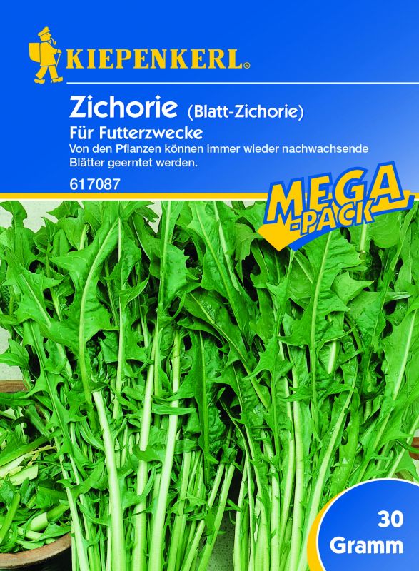 Zichorie 30 g