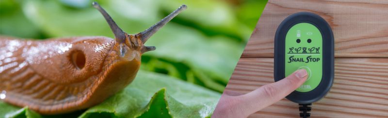 SnailStop Elektrischer Schneckenzaun