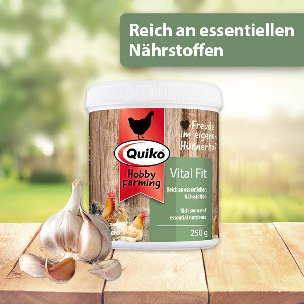 VitalFit - Quiko aus 100% reinem Knoblauch - einfach in der Dosierung