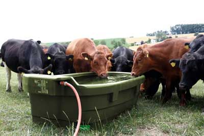 Weidetränke 1000 Liter