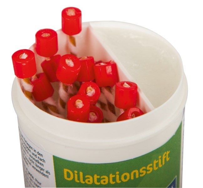 Dilatationsstifte