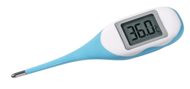 Digital Thermometer MAXI mit flexibler Sonde und großem Display