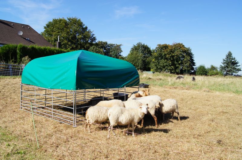 Weidezelt für Schafe ohne Seitenverkleidung für einen schattigen Sommerplatz oder als Regenschutz