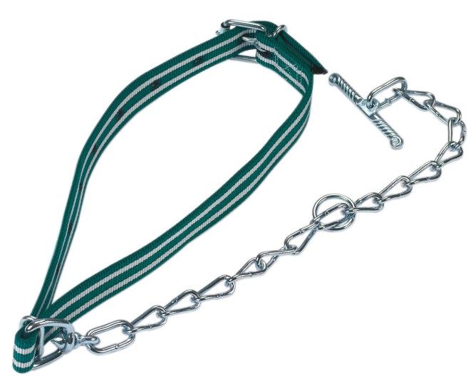 Halsband mir Kette und Knebel