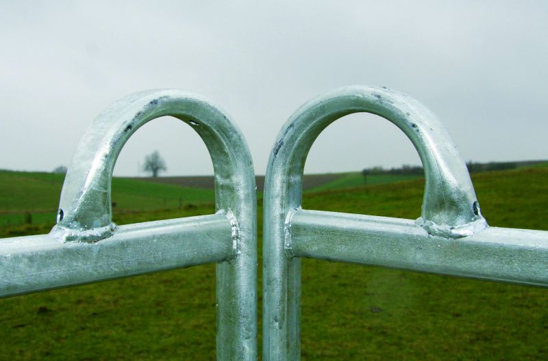 Weide-Panel mit Tor