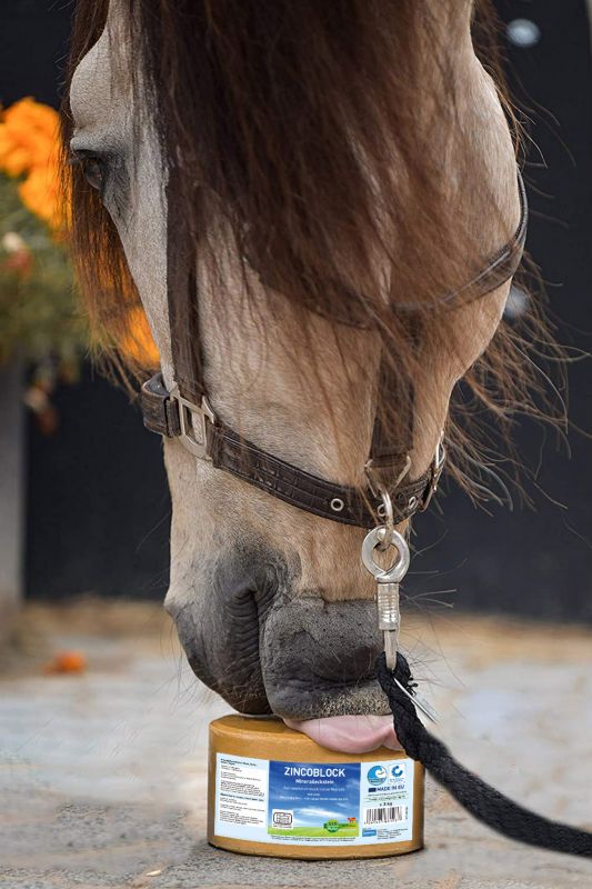 Pferd mit Mineralleckstein ZINCOBLOCK