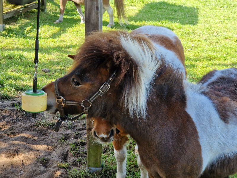 Leckstein im Einsatz