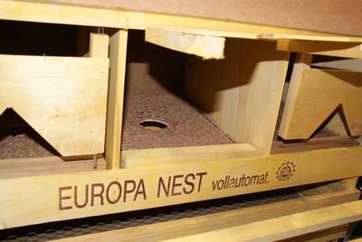 Europa-Nest mit angekippter Kokosmatte