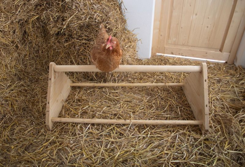Sitzstange im Stall