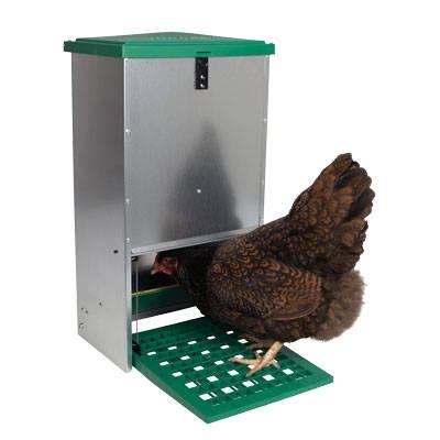 Hühnerfutterautomat mit Trittklappe mit Huhn