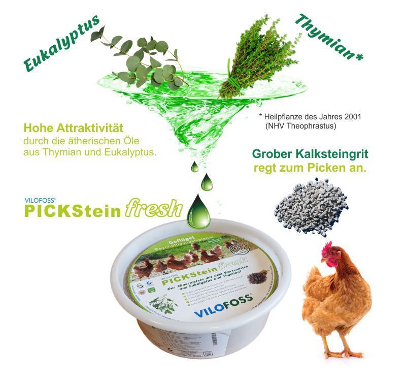 Pickstein "fresh" mit Thymian und Eukalyptus