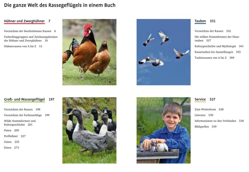 Rassegeflügel kompakt