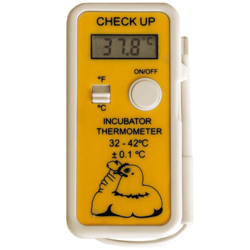 Digital-Thermometer Check-up