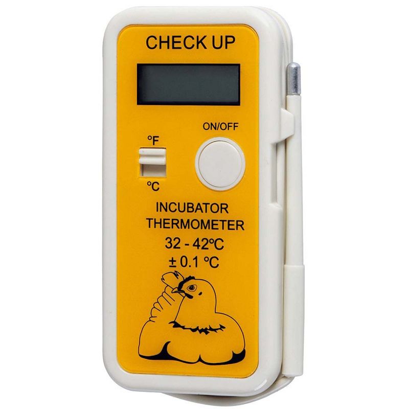 Digital-Thermometer Check-up