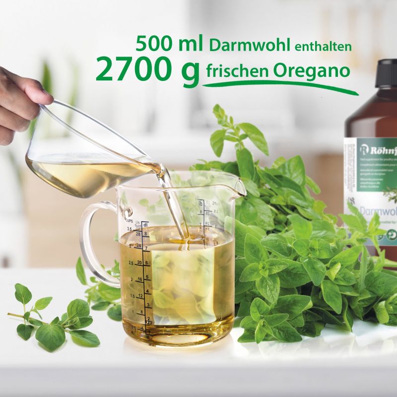 Darmwohl enthält alle wertvollen Ihnhaltsstoffe aus frischem Oregano