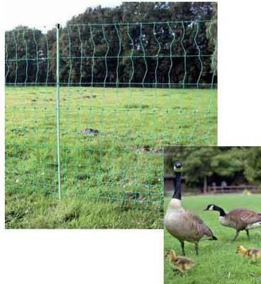 Geflügelzaun Geflügelnetz   1,00 m x 50,00 m  grün  Maschenweite 5 cm 