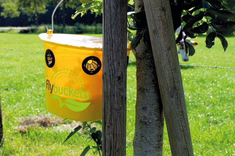 Fliegenfalle Flybucket online kaufen bei