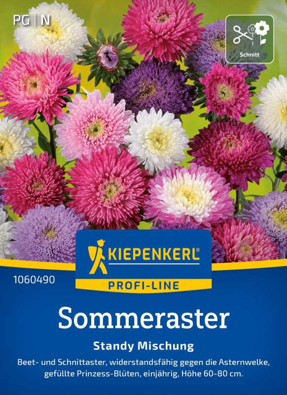 Sommeraster "Standy Mischung"