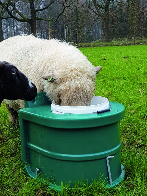 Isolierte Tränke 20 Liter für Schafe  (Heringe  nicht im Lieferumfang)