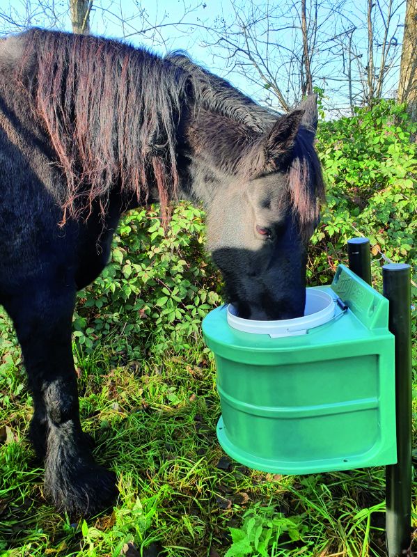 Isolierte Tränke 20 Liter für Pferde