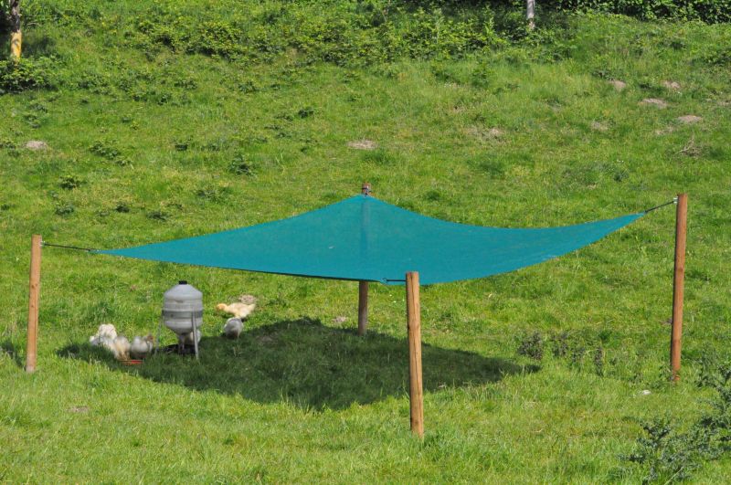 Sonnensegel 3 x 3 Meter als Schutz für Gänseküken